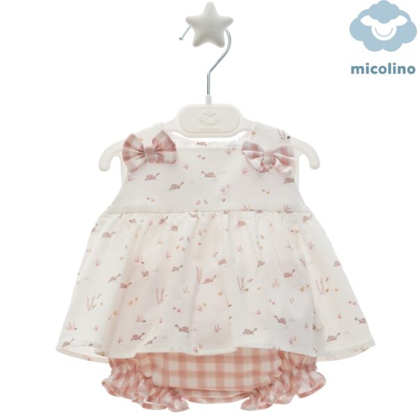 Conjunto Micolino