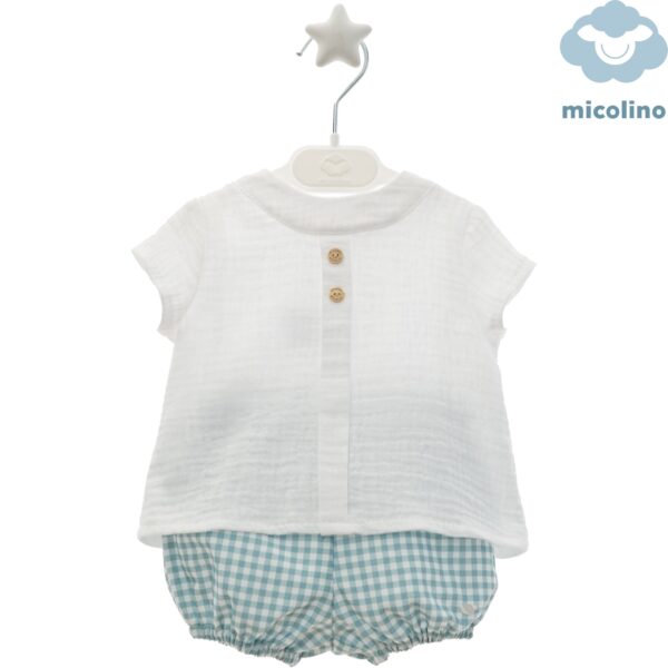 Conjunto Micolino