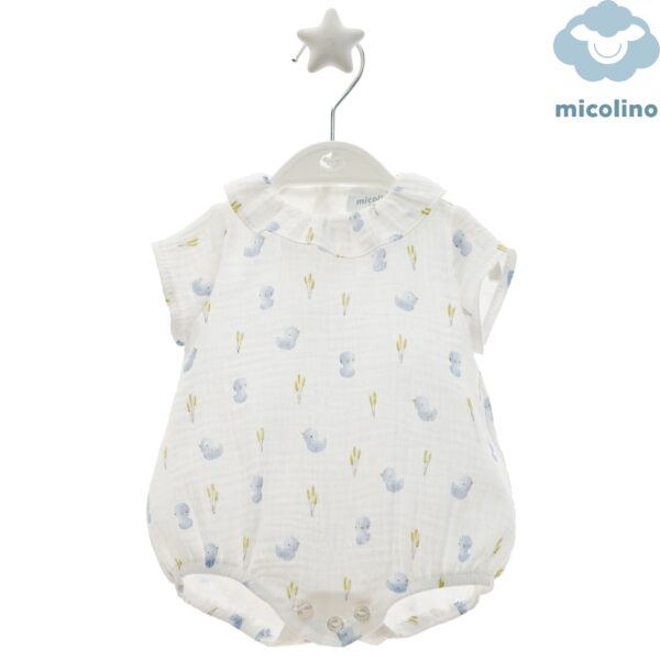 Body Micolino