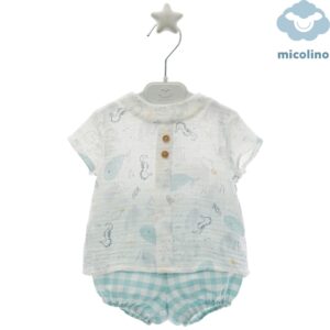 Conjunto Micolino 1813-12