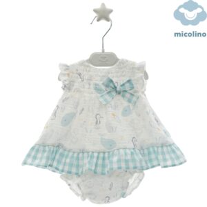 Jesusin Micolino 0183-12