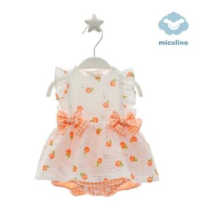Ranita Micolino 4619-146